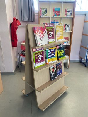 Présentoir double face plan incliné sur roulettes